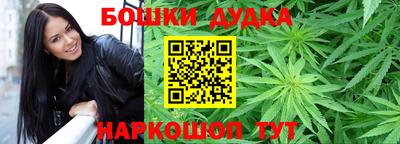гидра Краснознаменск