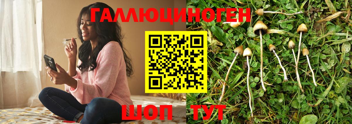 Галлюциногенные грибы Magic Shrooms  цены   Строитель  Псилоцибиновые грибы мухоморы  Вход с VPN 
