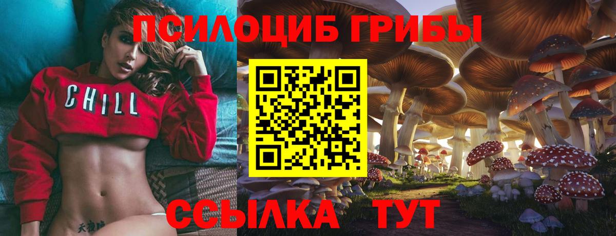 Псилоцибиновые грибы прущие грибы Строитель
